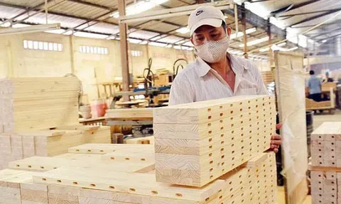 Vượt qua vòng xoáy, thế mạnh Việt Nam chớp cơ hội 12 tỷ USD