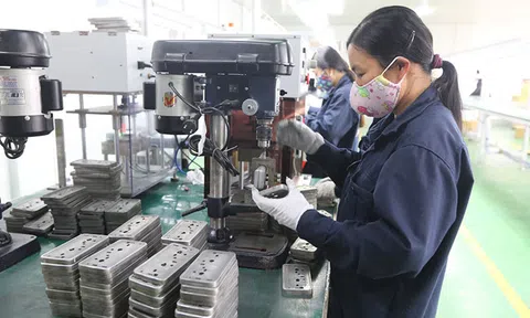 Cơ hội đón 'đại bàng' về Việt Nam làm tổ