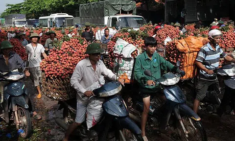 Trung Quốc thắng lớn, lo thế mạnh 6.000 tỷ của Việt Nam gặp khó
