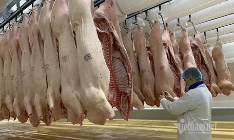 Giá thịt lợn cao nhất lịch sử, 100 ngàn/kg không chịu bán