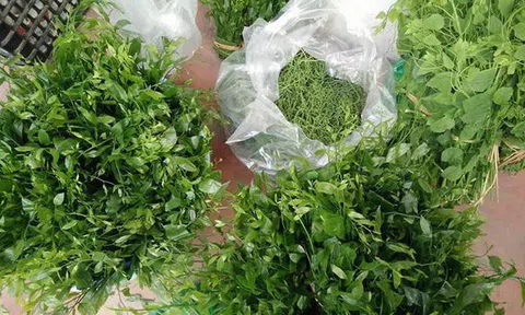 Kỳ lạ loại rau có giá đắt hơn thịt ở Việt Nam