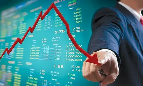 Có nên 'đốt' 50 triệu để tập chơi chứng khoán?