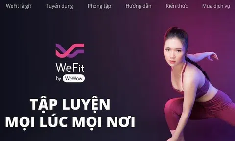 Những nhà đầu tư nào đã từng rót vốn vào WeFit, startup vừa mới tuyên bố phá sản?