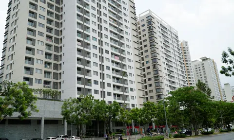 Căn hộ ở khu nhà giàu Phú Mỹ Hưng vắng khách thuê hậu Covid – 19