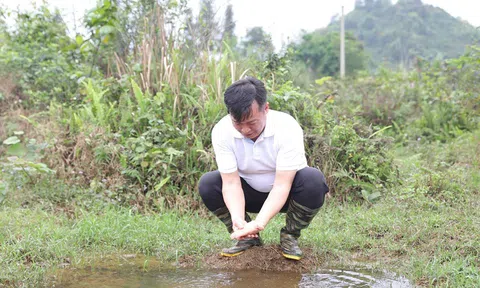 'Shark' Việt nêu lí do chúng ta nên kinh doanh với người có tính cách trái ngược, biết phản biện và nhẫn nhịn