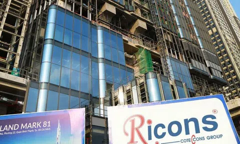 Tương lai nào cho 'cuộc tình' Coteccons - Ricons?