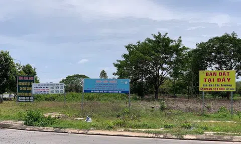 Giả mạo thông tin cắt lỗ bất động sản thời COVID-19