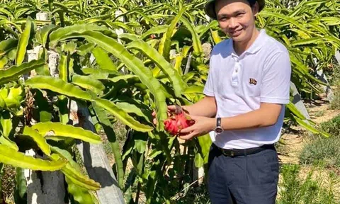 Khi các đại gia Việt làm nông nghiệp