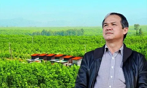 Bộ đôi công ty của bầu Đức đặt mục tiêu 2020 trái ngược: HAGL lỗ 356 tỷ, HAGL Agrico lãi 566 tỷ