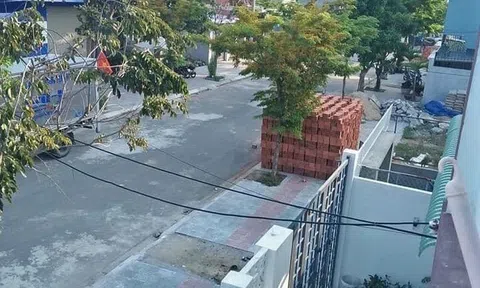 Bỏ Sài Gòn về Đà Nẵng lập nghiệp với số vốn 700 triệu đồng, nay vợ chồng trẻ có tài sản gần chục tỷ đồng