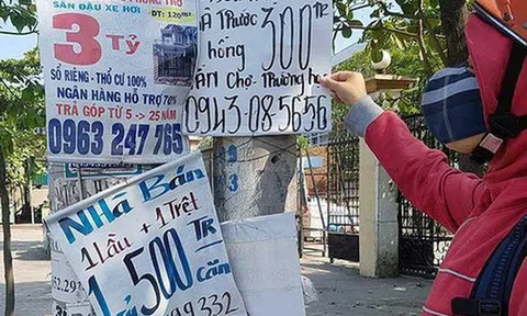 Lật tẩy những chiêu thức tinh vi dụ khách xuống tiền của cò đất