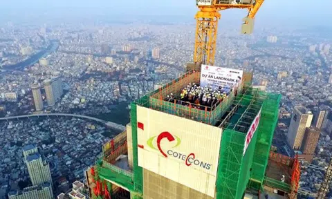 Tổng giám đốc Coteccons: Nhận định của Kusto mang tính chất thù địch, bôi nhọ