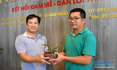 Phi vụ kinh điển, giò lan phi điệp đột biến mua 13 triệu bán 580 triệu