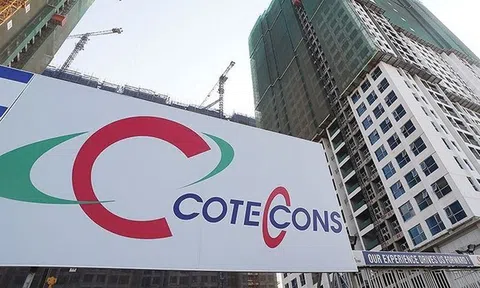 Coteccons làm ăn ra sao trước khi Kusto xuất hiện?