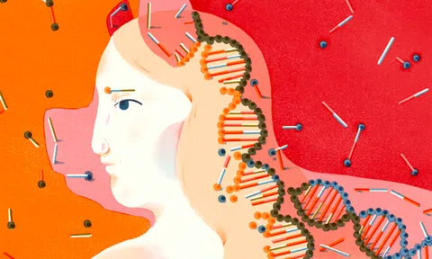 Cấy giống tốt thì lúa ngon, được vợ hiền thì tốt phước: 3 đặc điểm của người phụ nữ quyết định phong thuỷ tốt của gia đình