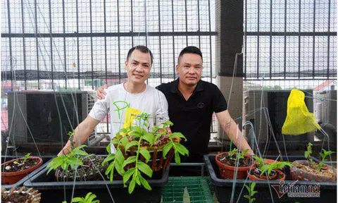 Hai đại gia lan hiếm ở Hà Nội: Vô tình kiếm tiền tỷ trong lúc thất nghiệp