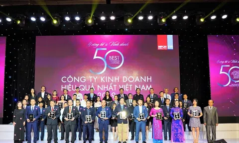 Ông lớn bất động sản thuộc Top 50 công ty kinh doanh hiệu quả nhất việt nam
