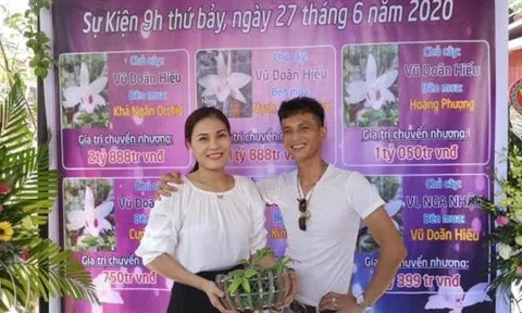 Cơn sốt lan Phi điệp đột biến: 'Bong bóng đang vỡ rồi'