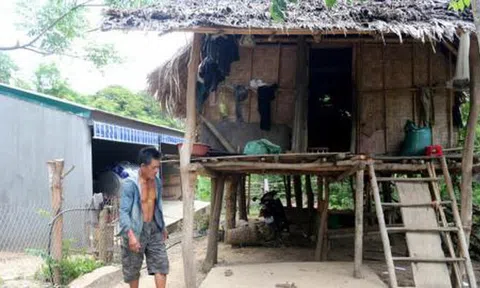 Chuồng bò 510 triệu đồng ở Nghệ An: Đẹp hơn nhà ở!