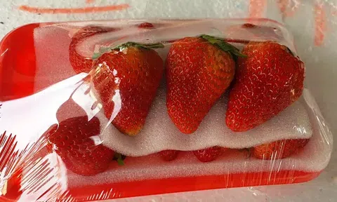 Kinh hoàng dâu tây Trung Quốc tuồn về Đà Lạt có dư lượng thuốc trừ sâu gấp 3 lần cho phép