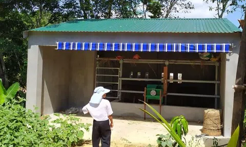 Trúng thầu xây 67 chuồng bò giá 11,4 tỷ đồng ở Nghệ An, đơn vị thi công kêu lỗ