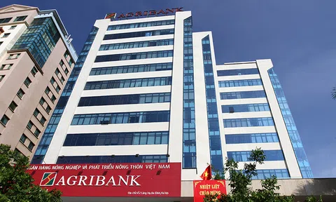 Bà Nguyễn Thị Phượng - Phó tổng giám đốc Agribank: ‘Nợ xấu tăng do tác động của COVID-19’