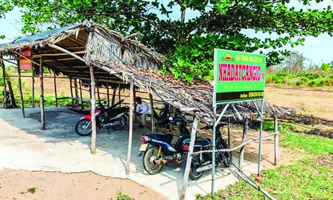 Không dễ sốt đất Cần Giờ