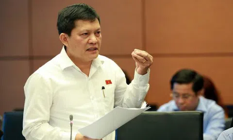 Những doanh nhân là đại biểu Quốc hội dính lùm xùm có quốc tịch nước ngoài