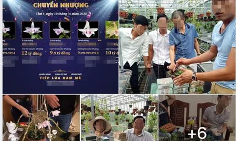 Trái đắng Phi điệp đột biến: Trăm tỷ chảy về Trung Quốc?