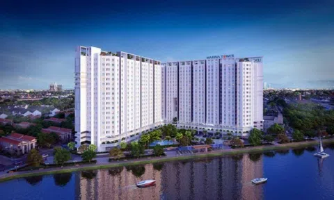 LDG sẽ chỉnh về ngưỡng cắt lỗ 6.68 trước khi "đánh" lên?