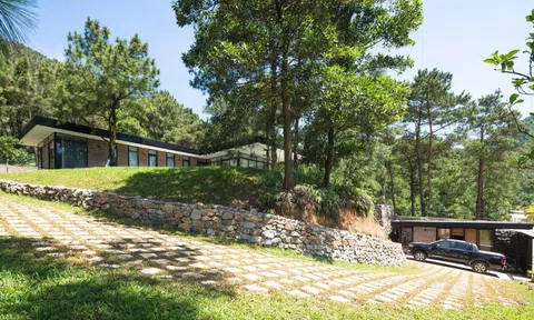 Ngôi nhà trên đồi thông 'sống trong sự yên tĩnh'