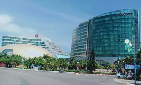 Him Lam Land thâu tóm DIC Corp?