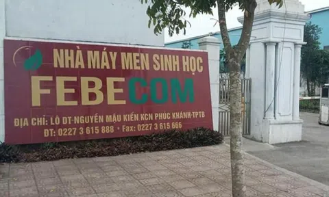 Công ty thức ăn chăn nuôi nhưng lại sản xuất... rượu