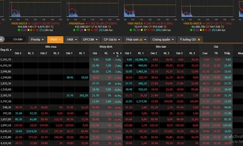 Sau tin 2 ca mắc COVID-19, nhà đầu tư hoảng loạn, VN-Index rơi hơn 60 điểm