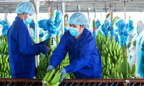 Hoàng Anh Gia Lai sửa kết quả kinh doanh, chuyển từ lãi trăm tỉ sang lỗ hơn 5.000 tỉ đồng