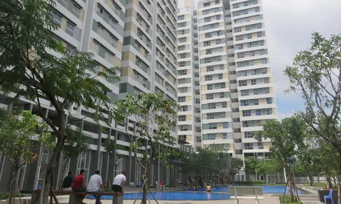 Chung cư giá rẻ từng đắt gấp đôi đất nền