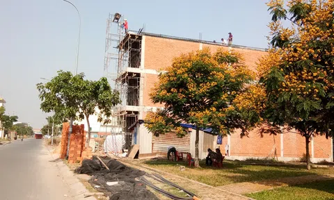 TP.HCM: Giá đất 5 huyện ngoại thành tăng vọt sau thông tin lên quận, có nơi lên hơn 200 triệu đồng/m2