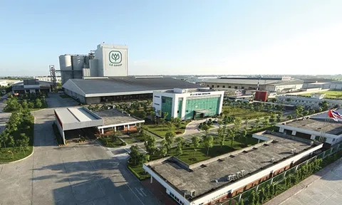 Chân dung 'gương mặt vàng" trong làng nuôi heo ở Việt Nam lãi 1 tỷ USD, ngang ngửa với Honda và Samsung