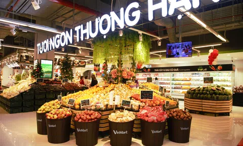 SK Group đầu tư 410 triệu USD cho 16,26% cổ phần tại VinCommerce