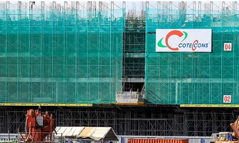 Lợi nhuận Coteccons giảm 129 tỷ đồng sau kiểm toán