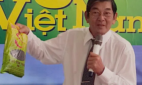 Gạo ST25 bị doanh nghiệp Mỹ đăng ký thương hiệu