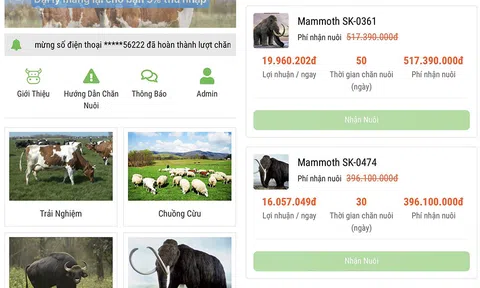 Sập bẫy lừa 'trang trại tiết kiệm': Tan cửa nát nhà