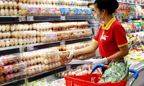 Đẩy mạnh thương mại điện tử trên nền tảng Lazada, The CrownX như “hổ thêm cánh”?