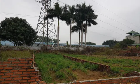 Sau cơn sốt đất, cò đất tìm cớ để “bẻ” cọc