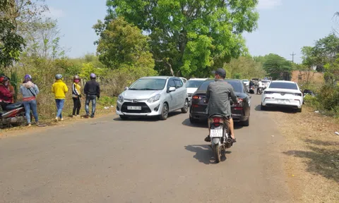 Sau cơn sốt, giới đầu tư “mất ngủ” vì ôm đất quá nhiều