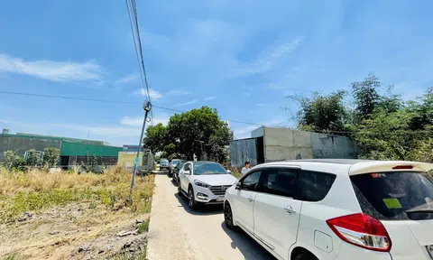 Cơn sốt đất chính thức lắng xuống, nhà đầu tư bán cắt lỗ cả tỷ đồng