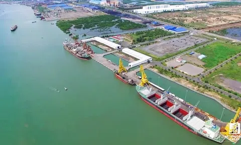 Cuộc chiến giữa Tân Cảng Sài Gòn, VTSC, AquaOne và Geleximco tại Cảng tổng hợp container Cái Mép Hạ