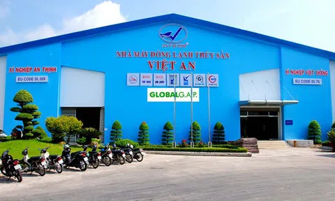 Vật vờ cổ phiếu “xác sống” trên sàn