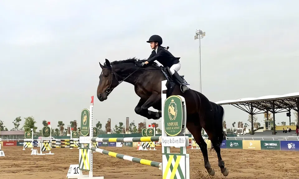 Vinpearl Equestrian Cup 2025: Bước đột phá của thể thao cưỡi ngựa Việt Nam